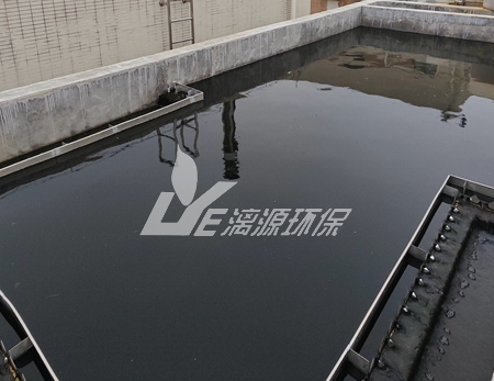 環(huán)氧大豆油(ESO)廢水處理工程