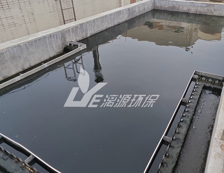 順酐產(chǎn)品生產(chǎn)廢水處理工藝