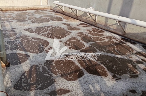 順酐生產廢水水質分析